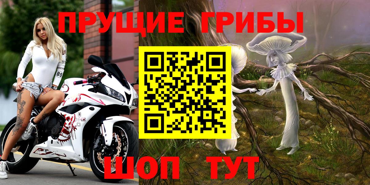 Гай  Галлюциногенные грибы Magic Shrooms  Галлюциногенные грибы GOLDEN TEACHER  Вход с VPN 